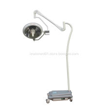 Mobile halogen operation light with battery
